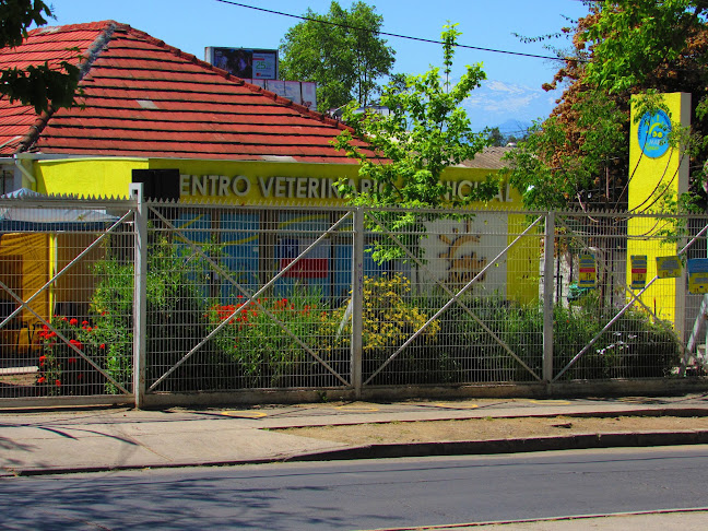 Opiniones de Centro Veterinario Municipal en Maipú - Veterinario