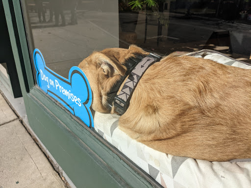 Florist «Raven Rose», reviews and photos, 474 Main St, Beacon, NY 12508, USA