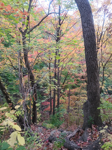 Park «Shadow Falls Park», reviews and photos, 30 N Mississippi River Blvd, St Paul, MN 55104, USA