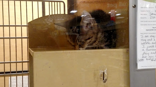 Pet Supply Store «PetSmart», reviews and photos, 128 Bailey Farm Rd, Monroe, NY 10950, USA