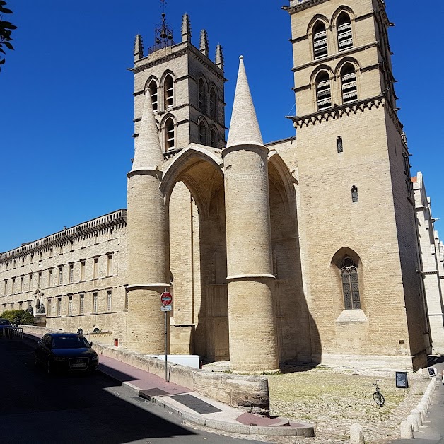 Visit'insolite à Montpellier (Hérault 34)