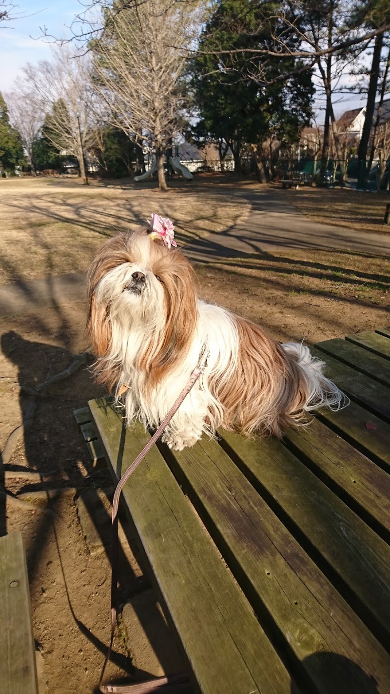 永田台中央公園