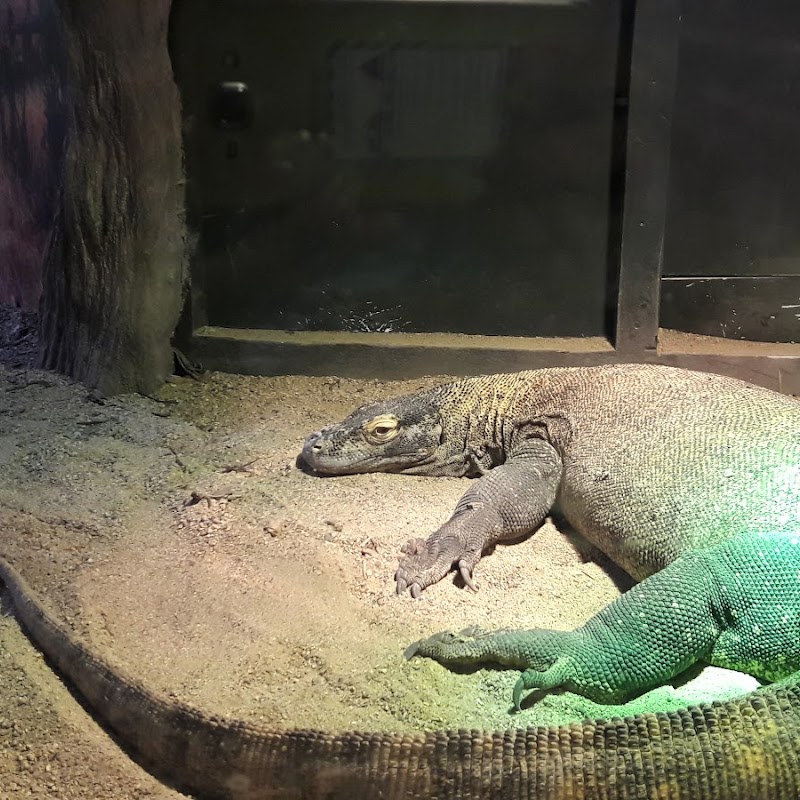 Saskatoon Forestry Farm Park & Zoo