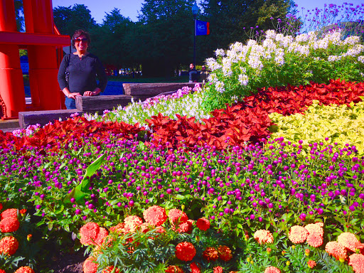 Imax Theater «AMC Navy Pier IMAX», reviews and photos, 700 E Grand Ave, Chicago, IL 60611, USA