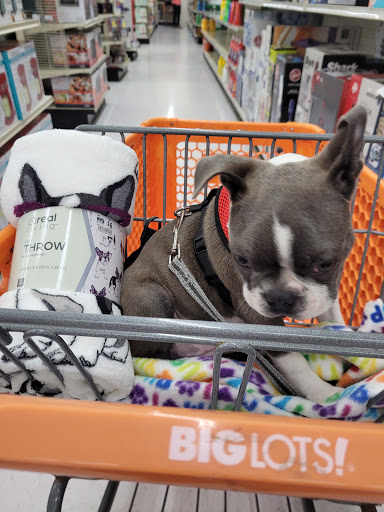 Discount Store «Big Lots», reviews and photos, 585 W Mt Pleasant Ave, Livingston, NJ 07039, USA