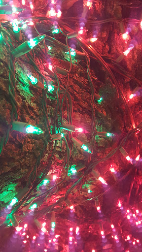 Gift Shop «Heart of Iowa Market Place», reviews and photos, 211 5th St, West Des Moines, IA 50265, USA