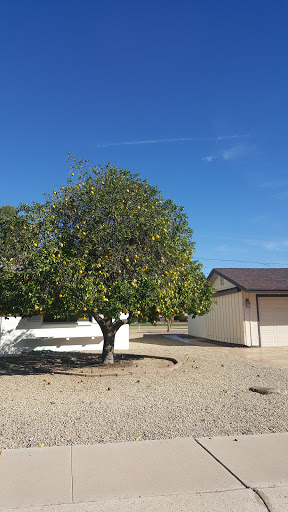 Golf Course «Sun City North Golf Course», reviews and photos, 12650 N 107th Ave, Sun City, AZ 85351, USA