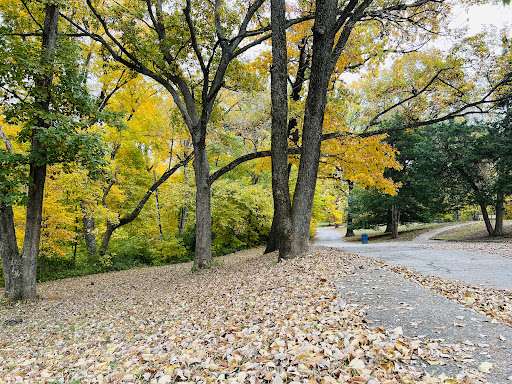Tourist Attraction «Greensfelder Memorial Shelter», reviews and photos, 13236 Streetcar Dr, Maryland Heights, MO 63043, USA