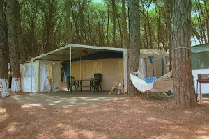 Camping Pineta di Pasquale Carpino image