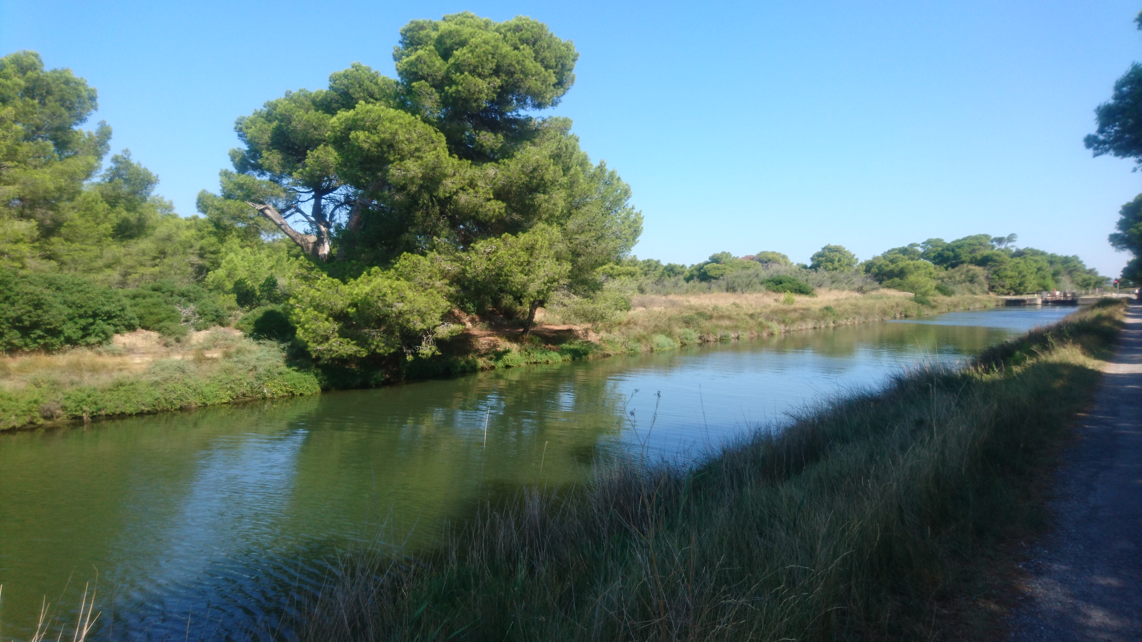 Photo n° 1 de l'avis de jean-yves.u fait le 21/08/2018 à 10:11