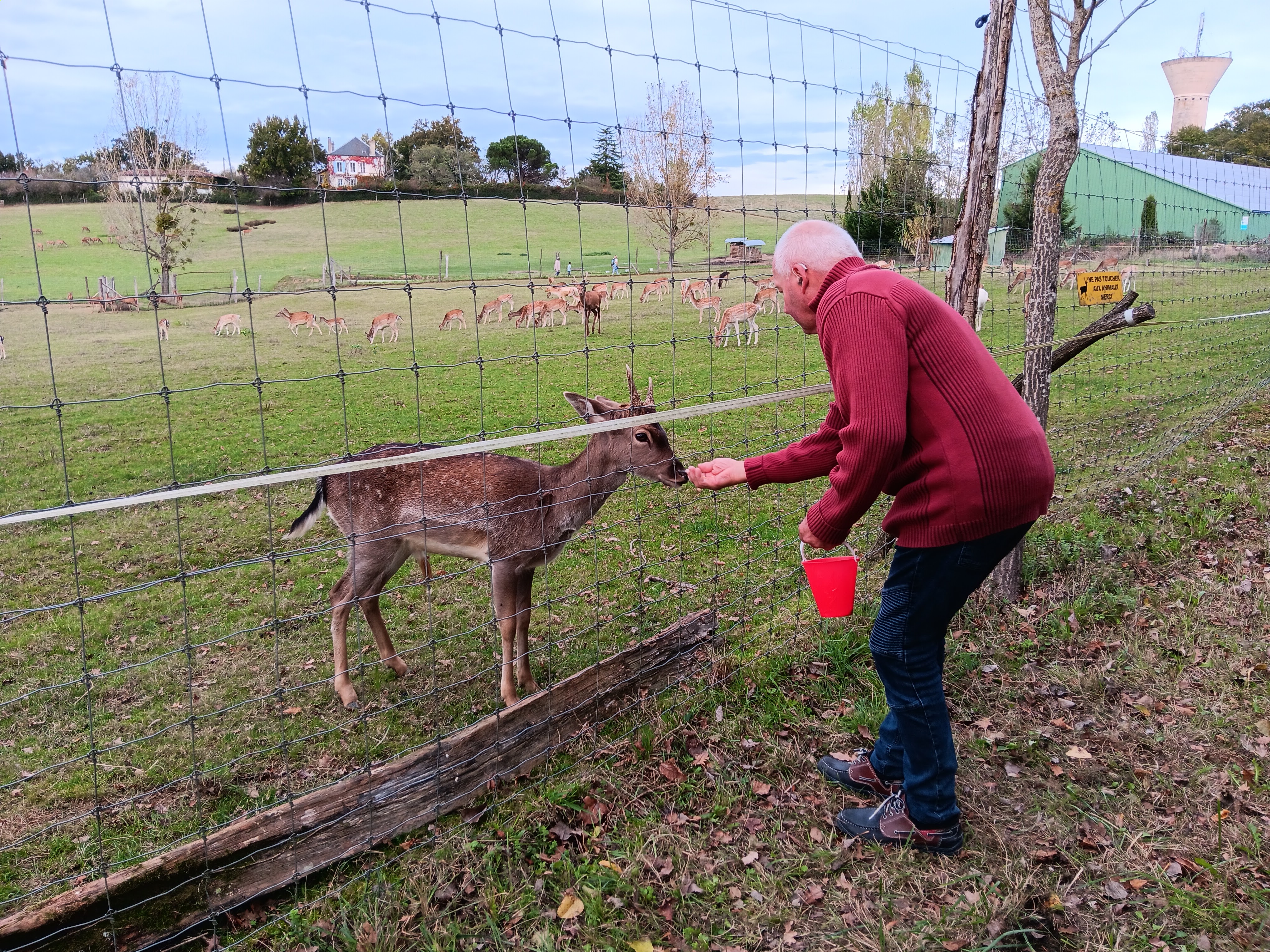 Photo n° 2 de l'avis de Marie.h fait le 30/10/2023 à 10:26