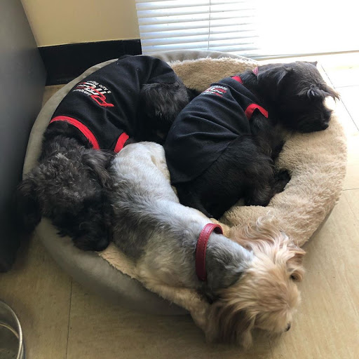 Auto Repair Shop «Rivergate Muffler & Complete Auto Care», reviews and photos, 159 Gleaves St, Madison, TN 37115, USA