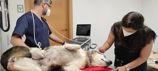 Clínica Veterinaria Albufereta en Alicante