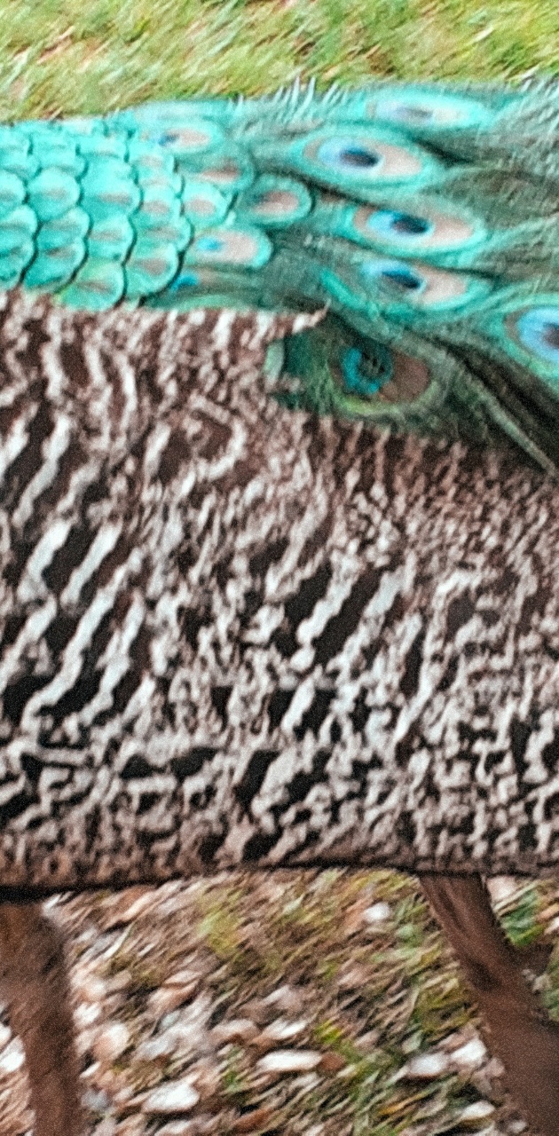 Photo n° 30 de l'avis de Ciccio.e fait le 28/07/2020 à 01:20