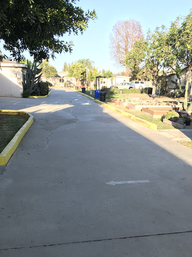 Bridges Rehabilitation image
