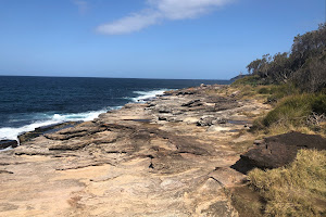 Freshwater Lookout