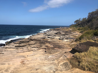 Freshwater Lookout