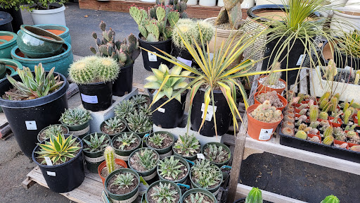 Garden Center «Sloat Garden Center», reviews and photos, 1555 Kirker Pass Rd, Concord, CA 94521, USA