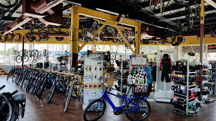 Bicycle Hangar