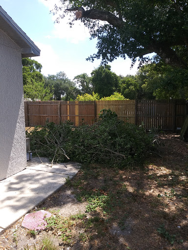 Motor Scooter Dealer «Green Machine Scooters», reviews and photos, 4499 S Orange Blossom Trail, Kissimmee, FL 34746, USA