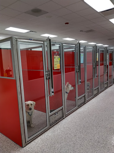 Animal Shelter «KC Pet Project - Main Adoption Center», reviews and photos