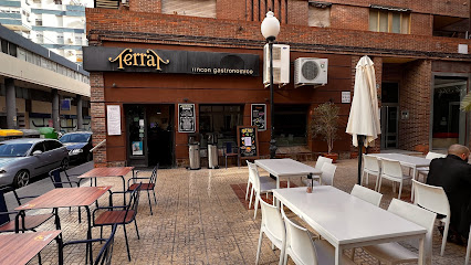 Terrat Rincon Gastronomico Restaurant - Carrer Arquitecto Morell, 9, 03003 Alicante, Spain
