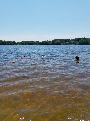 Playground «Varney Playground», reviews and photos, 45 Varney Ave, North Chelmsford, MA 01863, USA