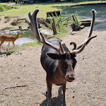 Photo n°5 de l'avis de Stefan.u fait le 23/07/2021 à 13:13 sur le  Erlebniswald Am Acisbrunnen à Schlüchtern