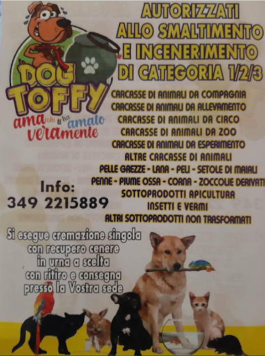 Pensioni per cani e dog hotel a Dog Toffy Di Morelli Rosalba & C. S.a.s.