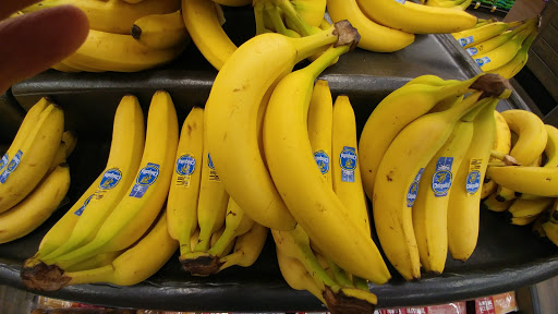 Shopping Mall «Burns Valley Mall», reviews and photos, Olympic Dr, Clearlake, CA 95422, USA