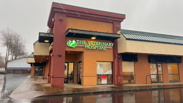 The Veterinary Hospital