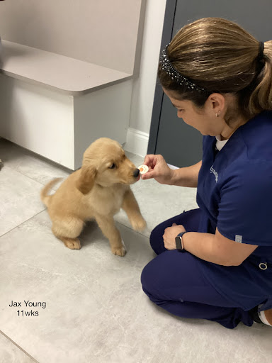 Graceful Paws Pet Clinic image