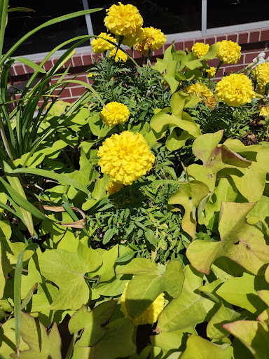 Shopping Mall «Sugar House Shopping Center», reviews and photos, 2274 S 1300 E, Salt Lake City, UT 84106, USA