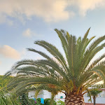 Photo n°2 de l'avis de Elena.a fait le 31/07/2022 à 11:31 sur le  Hotel Terme Royal Palm à Forio