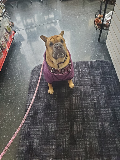 Pet Supply Store «Chuck & Don’s Pet Food & Supplies», reviews and photos, 335 Central Ave SE, Minneapolis, MN 55414, USA