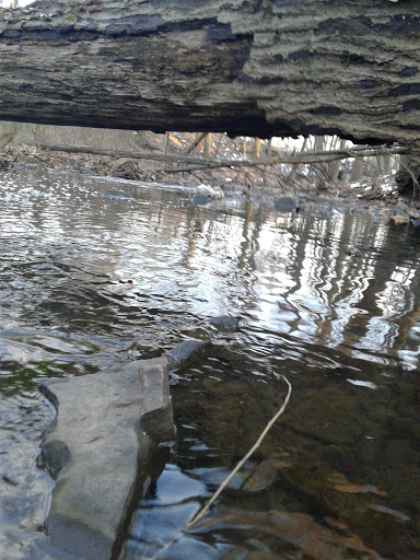 Park «Nichols Park», reviews and photos, 898 Bloomfield Ave, Nutley, NJ 07110, USA