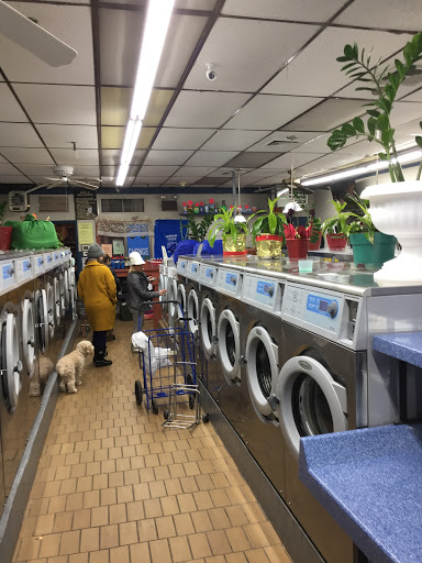Laundromat «Laundryland», reviews and photos, 1160 Yonkers Ave, Yonkers, NY 10704, USA