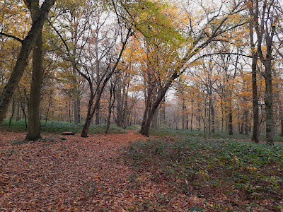 Parc Sachot à Saint-Fargeau-Ponthierry