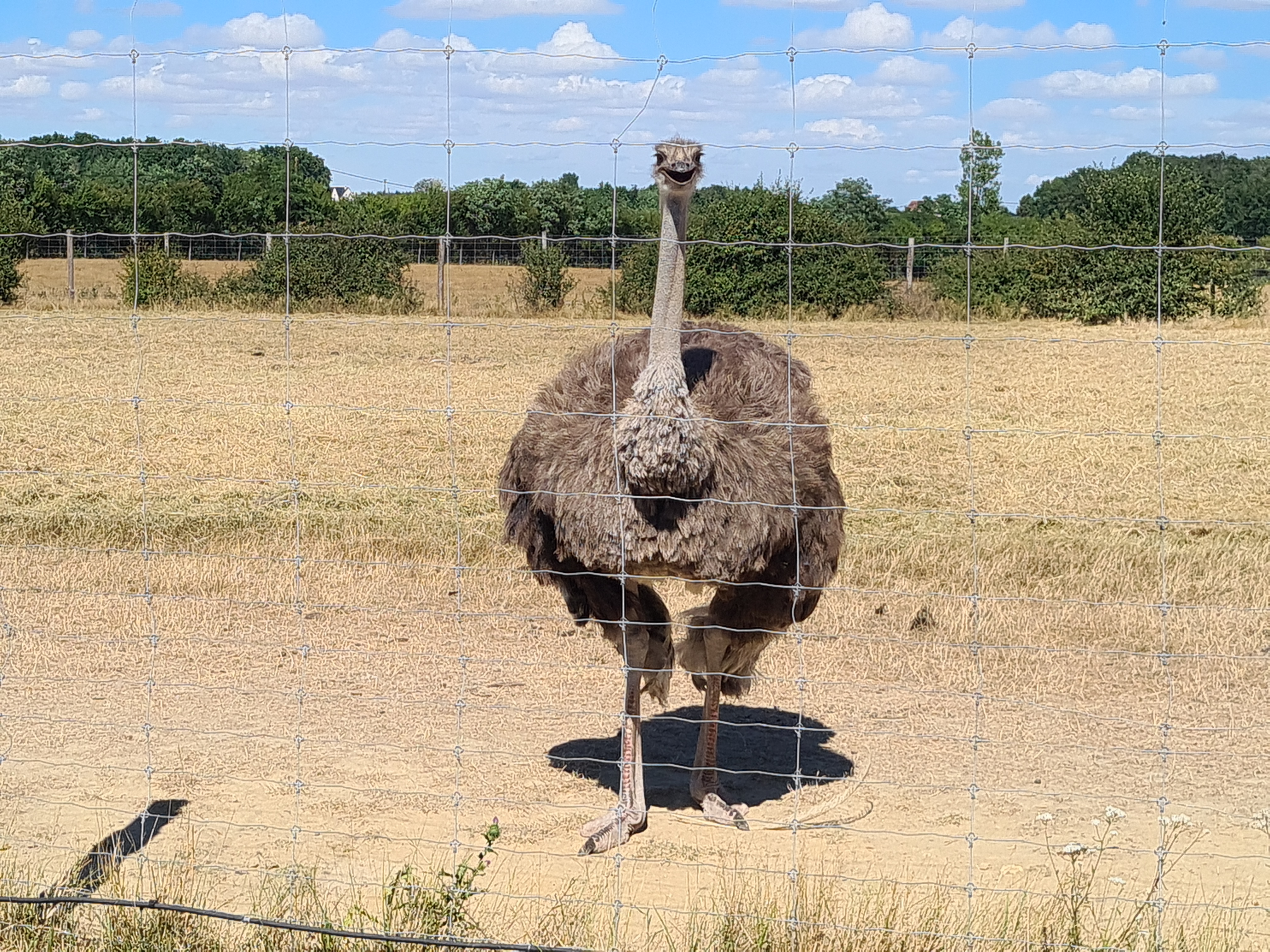 Photo n° 1 de l'avis de Fabien. fait le 01/08/2022 à 18:26