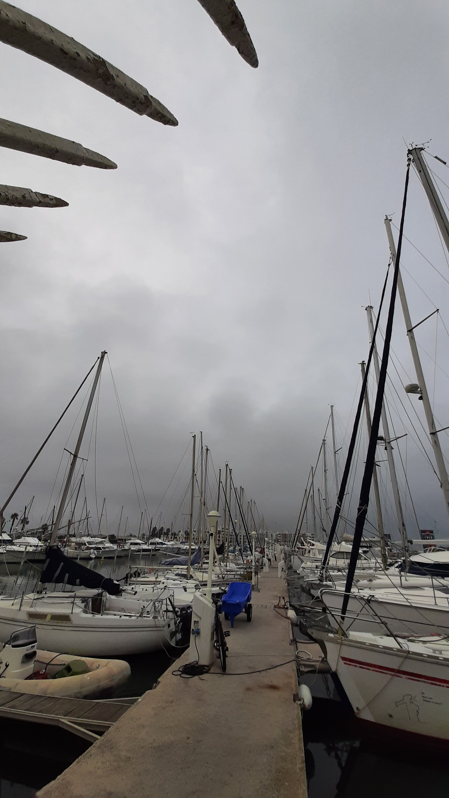 Photo n° 11 de l'avis de Raymond.e fait le 20/10/2022 à 16:25