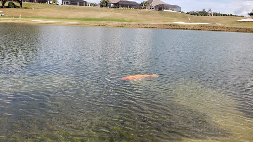 Golf Course «Skyview Golf Course», reviews and photos, 2100 N Terra Vista Blvd, Hernando, FL 34442, USA