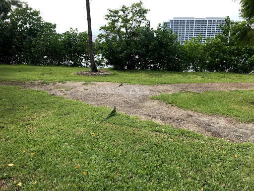 Tour Operator «Fun Center Fort Lauderdale , Tours, Rentals. Segway, Scooter, Jet Ski, Boat, ....», reviews and photos, 1040 Bayview Dr, Fort Lauderdale, FL 33304, USA