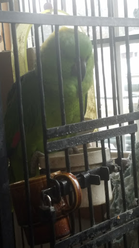 Toy Store «The Nature And Discovery Store,Inc.», reviews and photos, 19 Hughes St, New Ringgold, PA 17960, USA