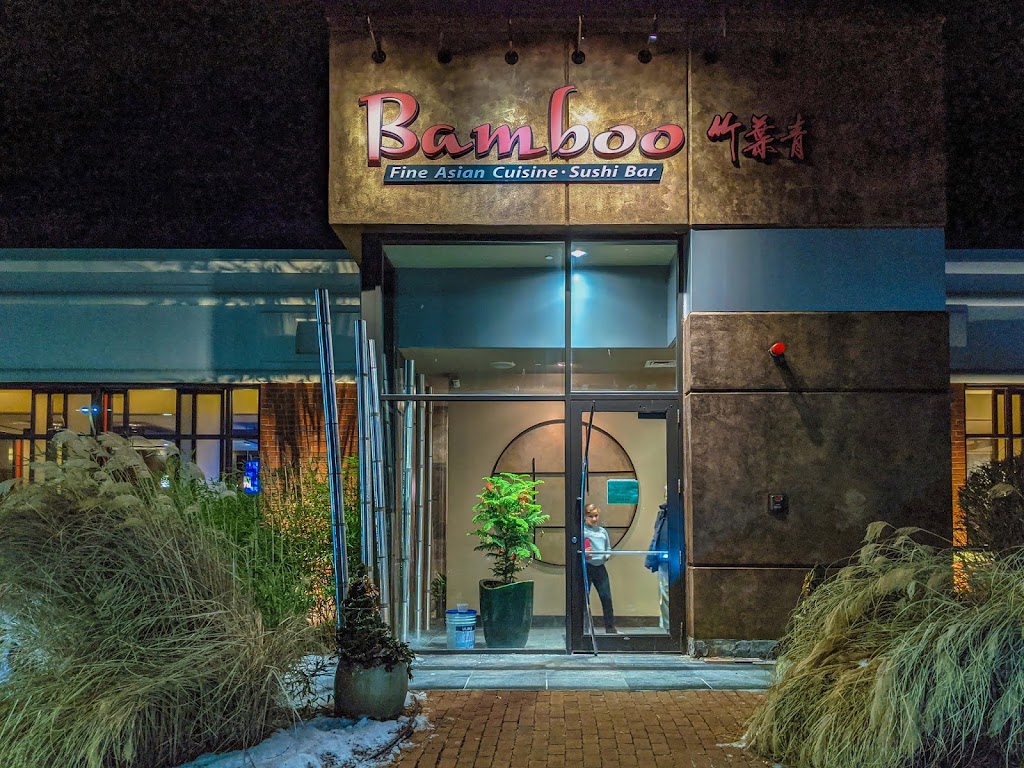 Bamboo 01730