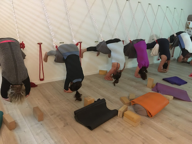 Iyengar Yoga La Cote - Yoga-Studio