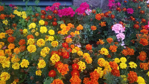 Coakley High Peaks Ace Hardware, 622 Lake Flower Ave, Saranac Lake, NY 12983, USA, 