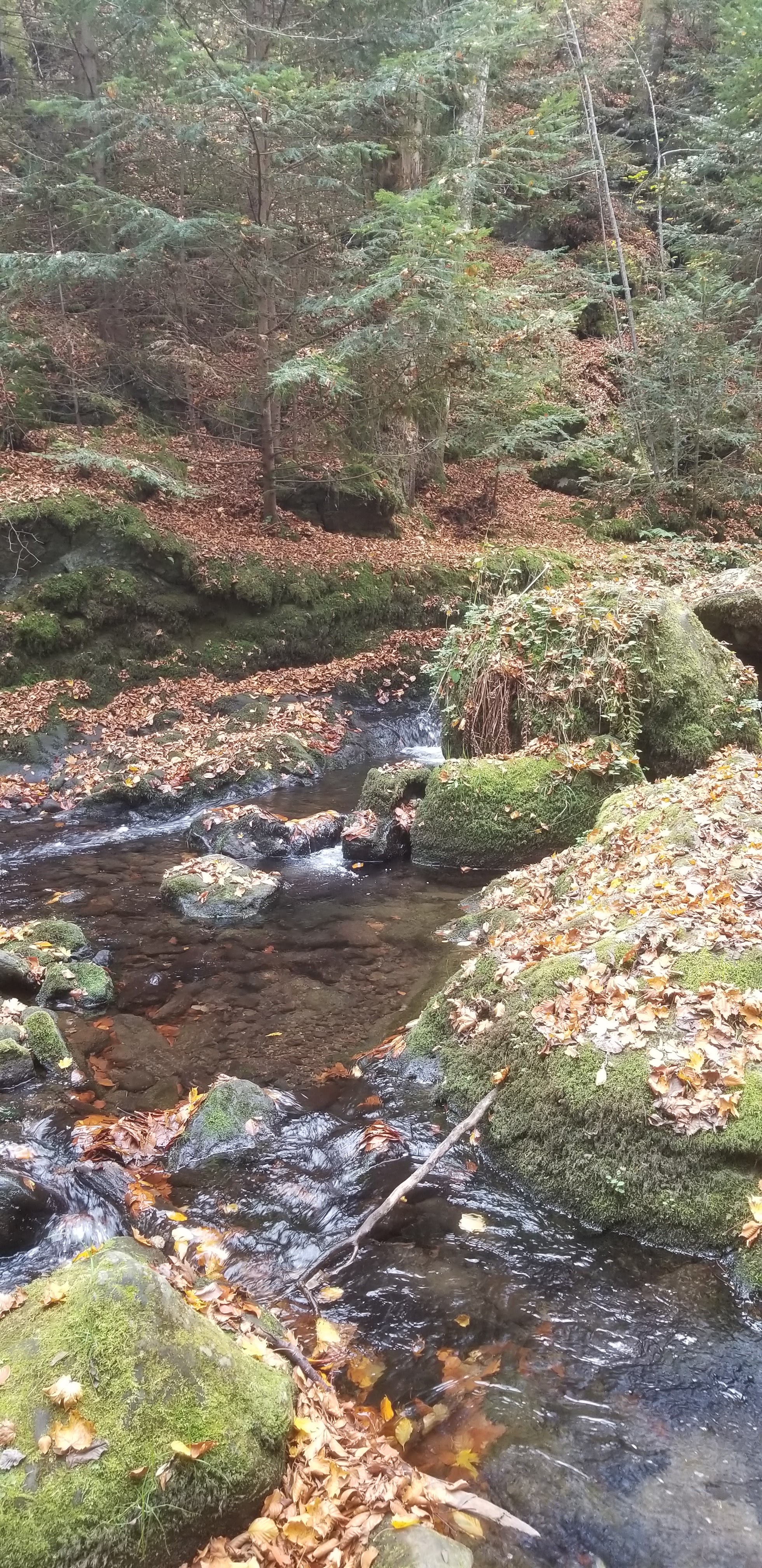 Photo n° 10 de l'avis de Céline.O fait le 31/10/2022 à 19:54