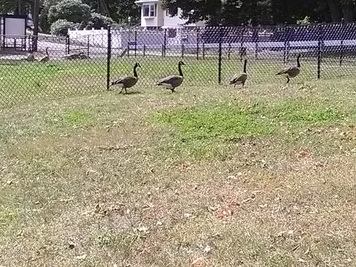 Arts Organization «Arts on the Lake», reviews and photos, 640 NY-52, Carmel, NY 10512, USA