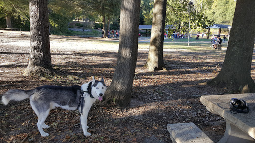 Dog park Augusta