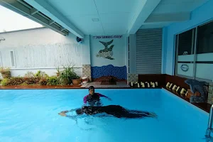 Dolphin Swimming Academy image